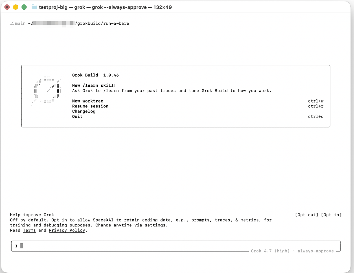 Grok Build 1.0.46 first launch in the Run A project