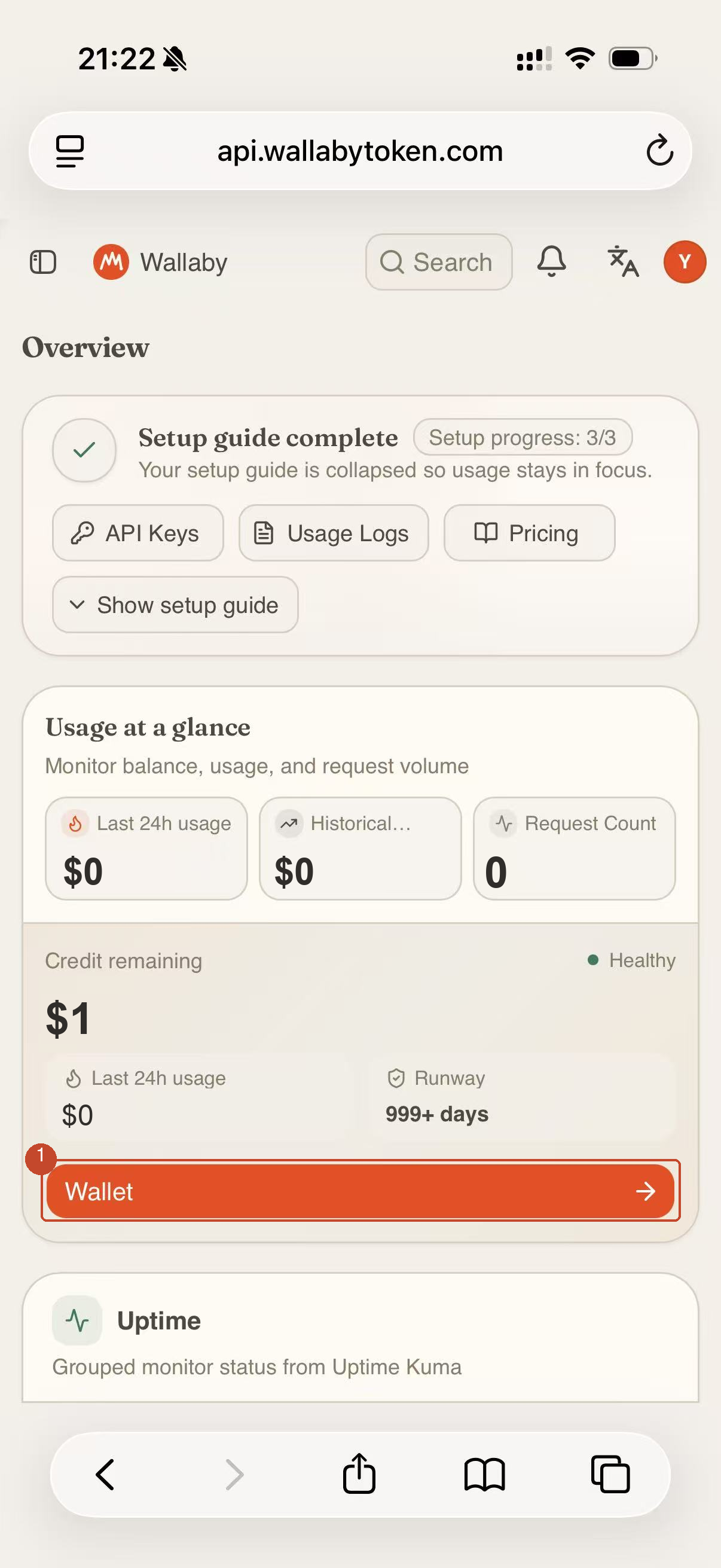 Console dashboard with the Wallet entry