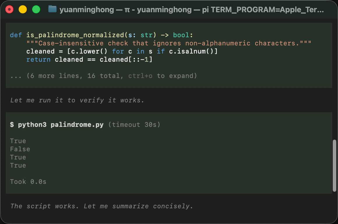 pi running the generated palindrome checks with python3