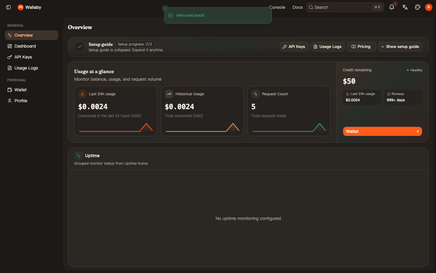 Console overview showing total usage, request count and remaining credit